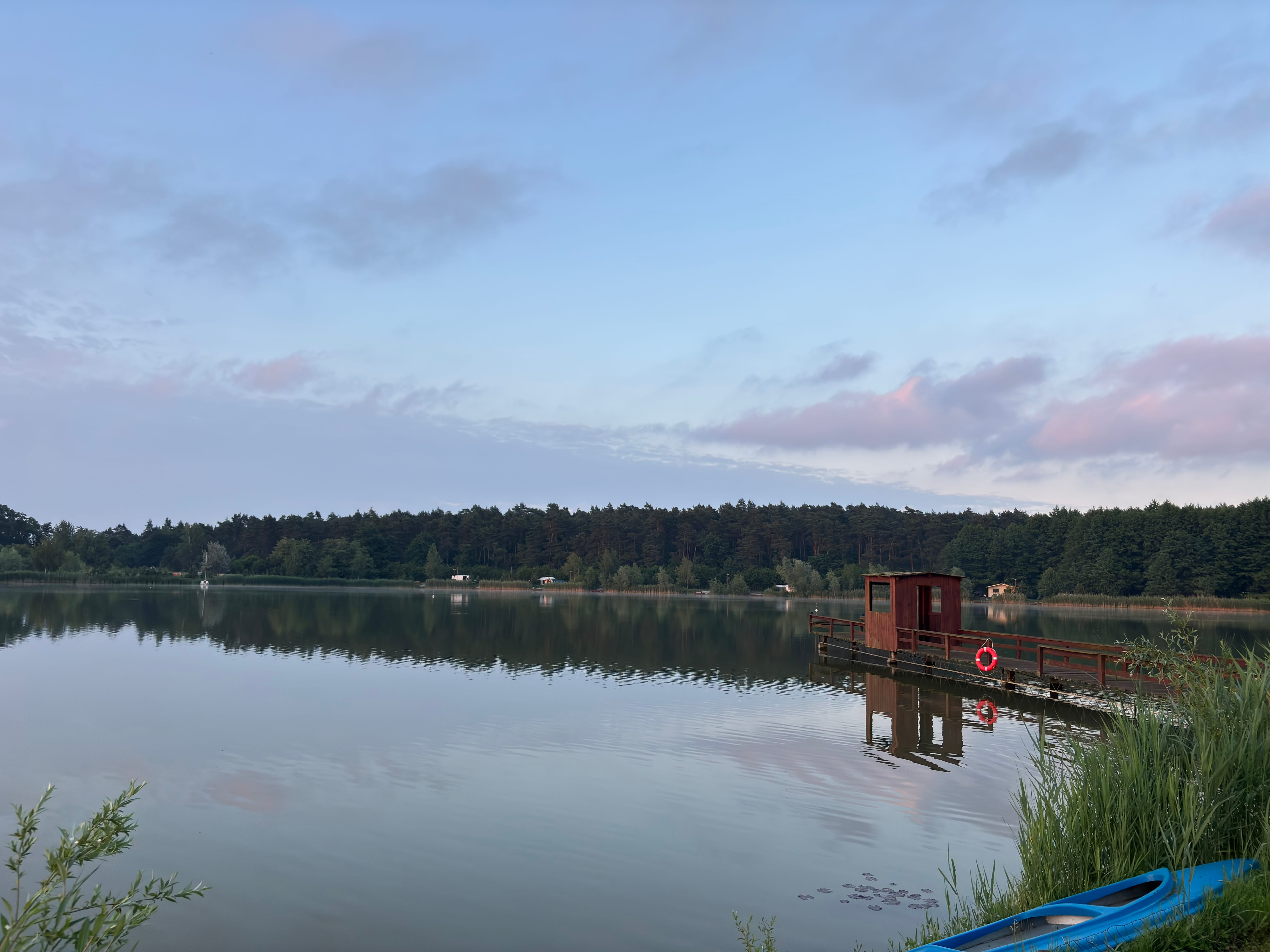 Panorama maskawy